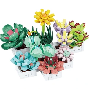 Blx Sukulent Çiçek Buketi 8842