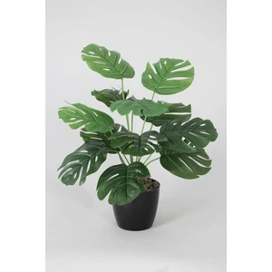 Yapay Devetabanı(Monstera) Bitkisi Siyah Saksıda 45 cm