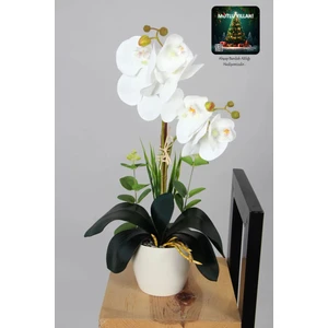 Dekoratif Mini Yapay Islak Orkide Beyaz 45 cm