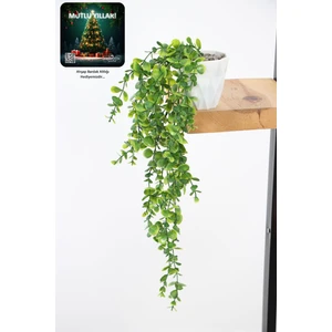 Yapay Çiçek Yoğun Yapraklı Yeşil Okaliptus Sarkıt (Beyaz Mika Saksılı) 80 cm