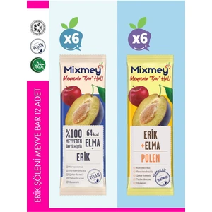 Erik Şöleni Meyve Barı – 12 Adet | Sağlıklı Atıştırmalıklar – Glutensiz, Koruyucusuz - 12 Adet