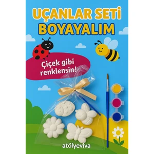 Taş Boyama Seti Uçanlar Serisi
