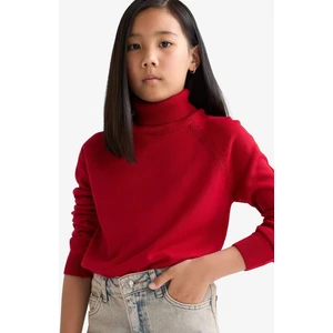 Kız Çocuk Balıkçı Yaka Triko Kazak R1953A625WN