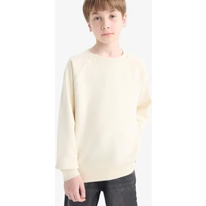 Erkek Çocuk Bisiklet Yaka Basic Düz Okul Sweatshirt E8415A825AU