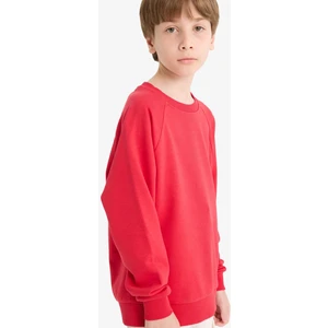 Yılbaşı Erkek Çocuk Bisiklet Yaka Basic Düz Okul Sweatshirt E8415A825AU