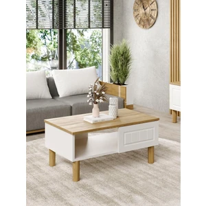 Venas Mebran Orta Sehpa