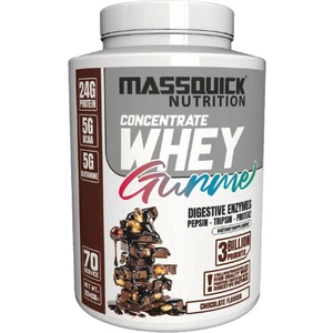 Gurme Whey Protein Tozu 2100 gr 70 Servis