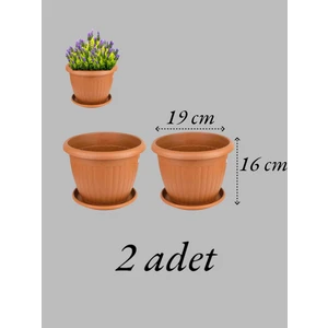 Saksı Kahverengi Saksı 2.5 litre 