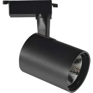 30 W Ray Spot Armatür Gün Işığı CT-5334