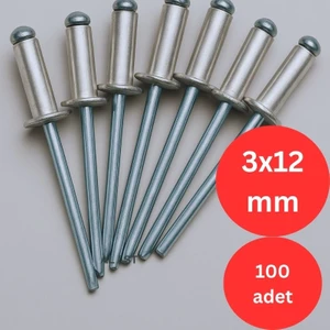 100 Adet Pop Perçin Alüminyum - Çelik ( Al/st ) 