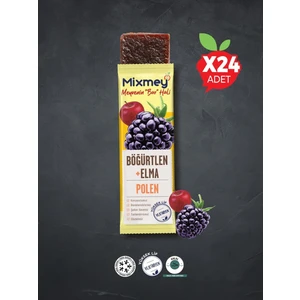 Bee Polen Böğürtlen Meyve Barı 24 Adet | Sağlıklı Atıştırmalıklar – Glutensiz (25GR X 24 ADET)