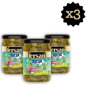 Fersan Kornişon Turşu 370 cc