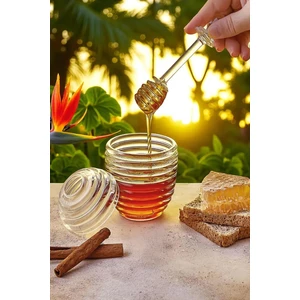 Balora Akrilik Bal Kavanozu Kaşıklı 250 ml