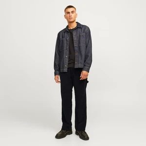 Jack & Jones Erkek Eddie Carpente Loose Fit Jean
