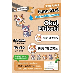 Sevimli Kediler Tasarımlı Isimli Defter Kalem Okul Etiketi, Yırtılmaz Pvc Etiket, Suya Dayanıklı