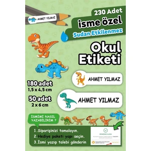Dinazor Temalı Kişiye Özel Isimli Defter Kalem Okul Etiketi, Yırtılmaz Pvc Etiket