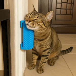 Masajlı Döner Kedi Oyuncağı