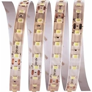5 Metre Cata Ct 4540 Iç Mekan 12V 120 Ledli Şerit LED 3200K Gün Işığı