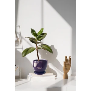 Tabaklı Mor Çömlek Saksı 19X19 cm