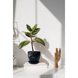 Tabaklı Siyah U Çömlek Saksı 24x24 Cm