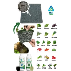 Tohum Çimlendirme Süngeri 25X25X5 cm - 100 Adet Gözlü