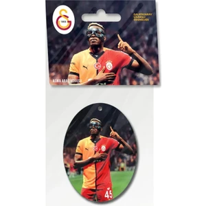 Asma Araç Kokusu 6'lı Set (OSIMHEN-GS004-GS007-GS009-GS0011-GS012)