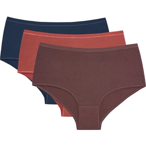 Karışık Renk Terra 3'lü  Yüksek Bel  Slip Külot