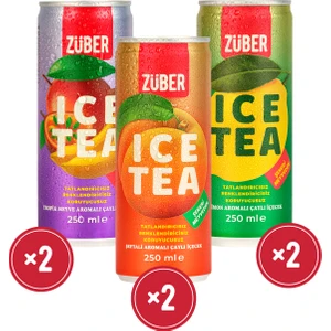 Karma Ice Tea Paketi 250ML x 6 Adet