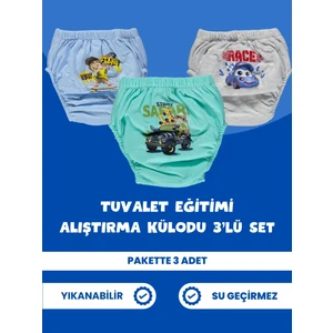 Erkek Çocuk 3'lü Tuvalet Eğitimi Alıştırma Külodu Seti
