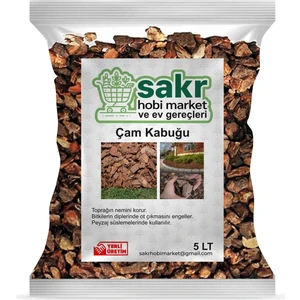 Çam Kabuğu Dekoratif Çam Kabuğu