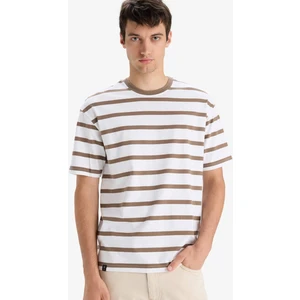 %100 Pamuk Boxy Fit Rahat Kesim Bisiklet Yaka Çizgili Kısa Kollu Tişört E1160AX25AU