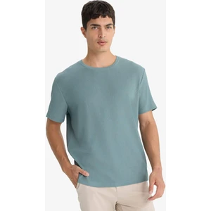 Regular Fit Bisiklet Yaka Dokulu Kısa Kollu Tişört F8480AX25AU