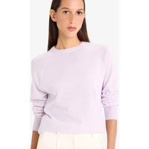 Relax Fit Bisiklet Yaka Basic Düz Triko Kazak I6913AZ25WN