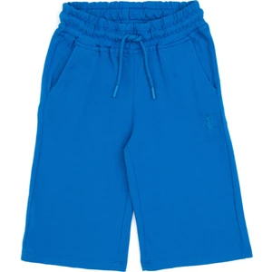 U.s. Polo Assn. Erkek Çocuk Kobalt Şort (Örme) 50298078-VR077