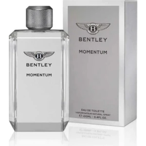 Momentum EDT Erkek Parfüm 100ML