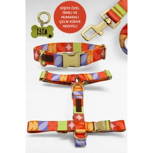 Köpek Tasması- Köpek Tasma Seti- Isimli Köpek Tasma Metal Kilit 1