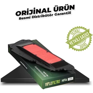 Honda Forza 250 (2020-2025) Hava Filtresi