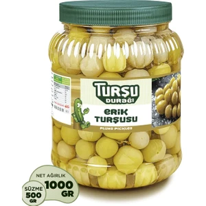 Turşu Durağı Erik Turşusu 1 KG