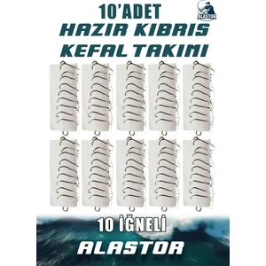 Hazır 10'lu Kefal Için 10 Iğneli Kıbrıs Takımı 10'lu Paket Hazır Kıbrıs Kefal Takımı 10'lu Set