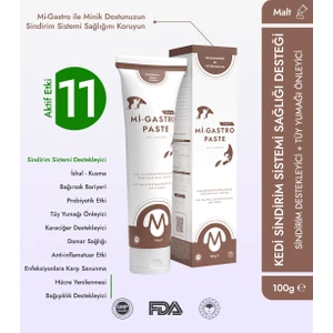Mi-Gastro Paste Mide Malt Macunu 100 gr