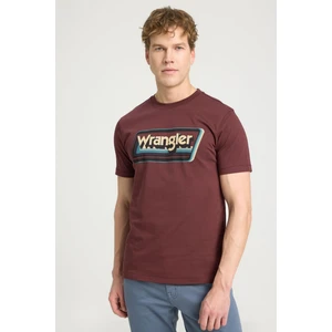 Bisiklet Yaka T-Shirt Kahverengi Erkek Kısa Kol T-Shirt