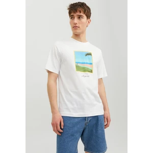 Jack & Jones JORTULUM LANDSCAPE TEE SS Beyaz Erkek Kısa Kol T-Shirt