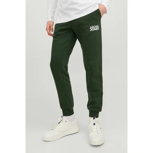 Jack & Jones JPSTGORDON JJNEWSOFT SWEA Haki Erkek Eşofman Altı