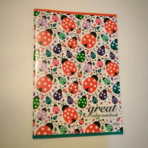 Defter A4 40 Yaprak Çizgili Plastik Kapak