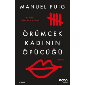 Örümcek Kadının Öpücüğü