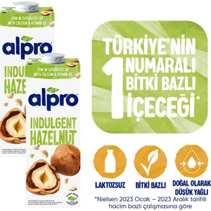 Fındıklı Süt 2x1 L Vegan Laktozsuz Bitkisel Bazlı