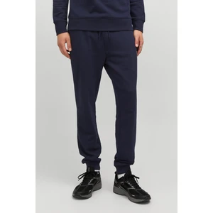 Jack & Jones JPSTGORDON BEAU SWEAT PAN Lacivert Erkek Eşofman Altı