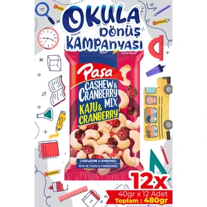 Paşa Kuruyemiş Çiğ Kaju & Turna Yemişi 40 gr x 12 Adet (Toplam 480 Gr)