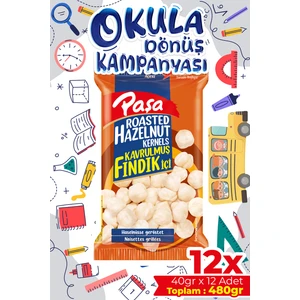 Kuruyemiş Kavrulmuş Fındık İçi 40 gr x 12 Adet (480 gr)