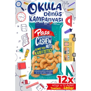 Paşa Kuruyemiş Kaju Fıstığı 40 gr x 12 Adet (480 gr)